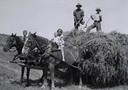 hauling Hay at the Solomon Ranch